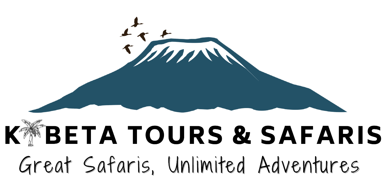 KIBETA-Tours-&-Safaris-logo